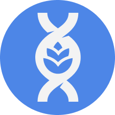 doctorgavrilov.ru