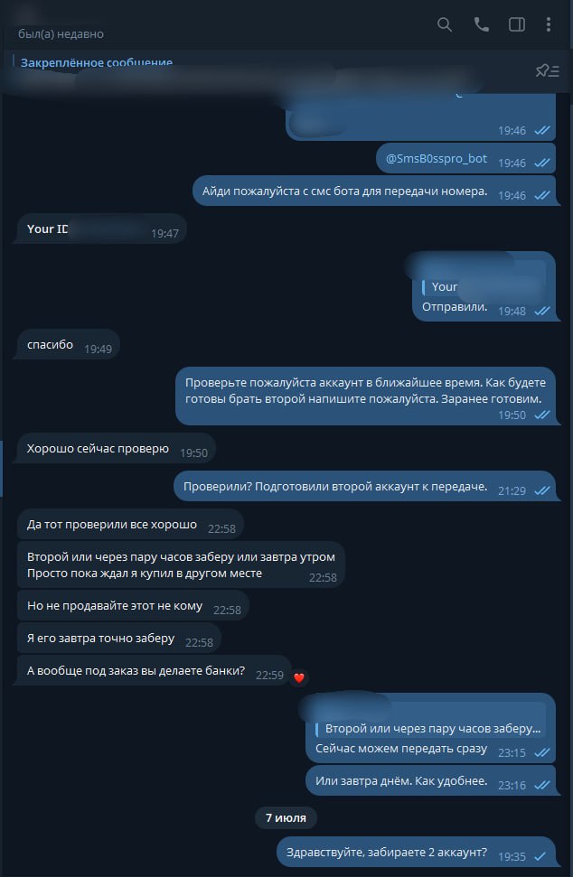 WpbKm5T.jpeg
