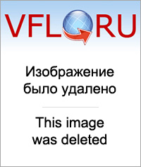 14691606.jpg